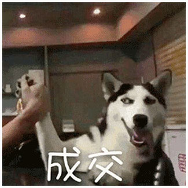 黄金瞳最后大结局什么意思(黄金瞳结局什么意思知乎)