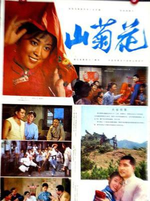 《山菊花》电影封面