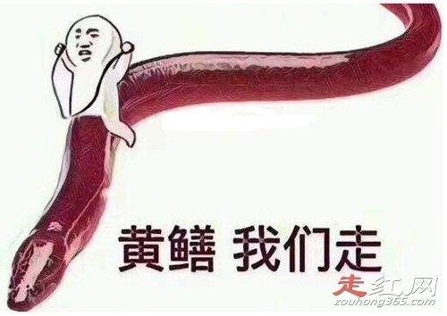 黄鳝我们走是怎么来的 黄鳝门事件21分钟40秒的视频怎么回事