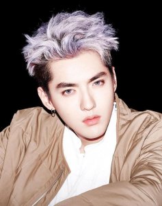 ​吴亦凡表哥公司被强制执行 标的约 1477.46 万元