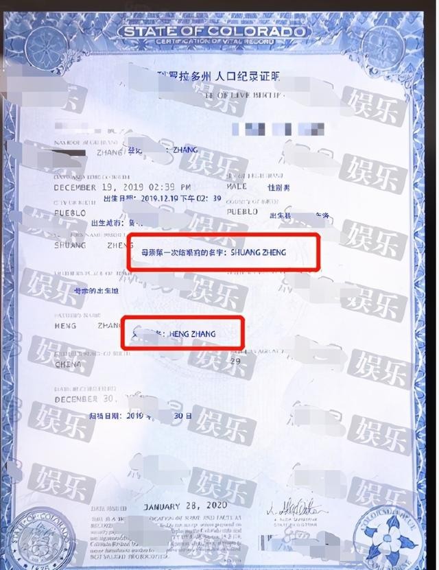 郑爽怀孕是怎么回事（郑爽被传与张恒代孕生两娃）