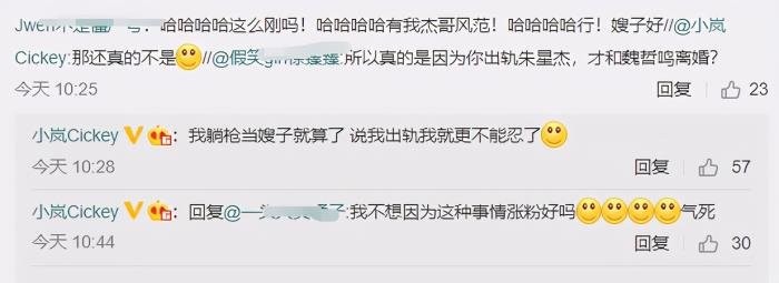 魏哲鸣老婆王岚离婚原因 和朱星杰承认恋情怎么回事