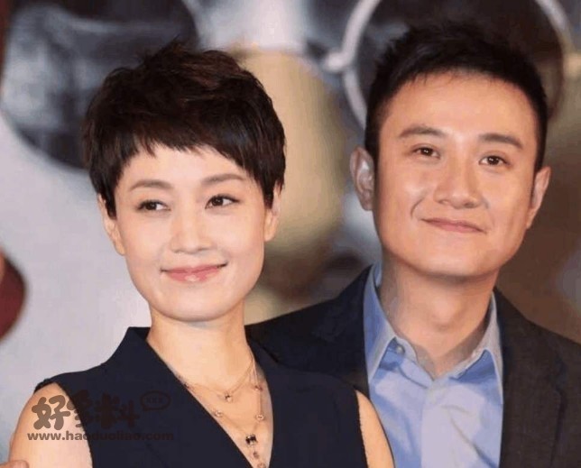 马伊琍几次婚史 马伊琍与文章的婚姻为何如今才结束