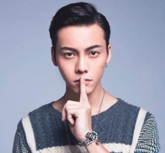 ​殷志源大大是什么意思啊