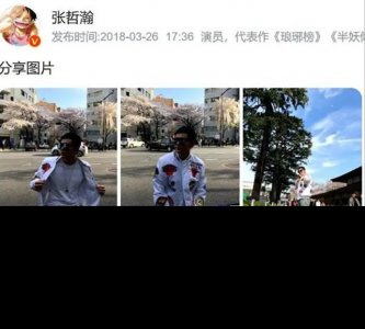 ​张哲瀚是无辜的吗 张哲瀚事件始末是怎么回事