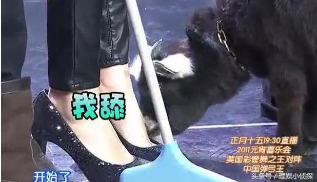 为什么叫杨幂脚臭 