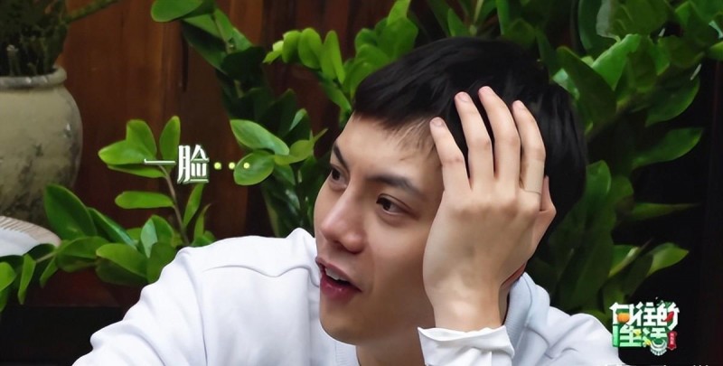 陈伟霆个人资料年龄(大师兄陈伟霆个人简介)