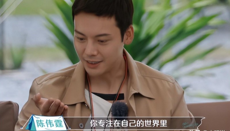 陈伟霆个人资料年龄(大师兄陈伟霆个人简介)