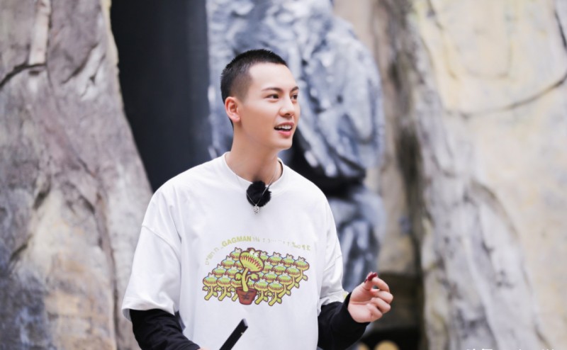 陈伟霆个人资料年龄(大师兄陈伟霆个人简介)