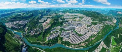 ​习酒：内外兼修，高质量发展穿越周期