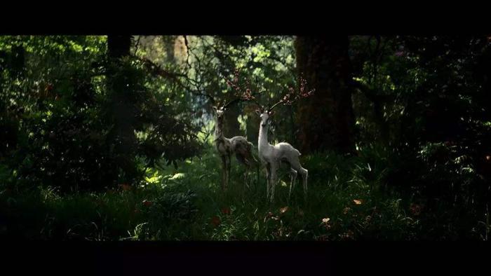 《湮灭》中回到现实世界的莉娜是本尊，还是复制品？