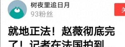 ​赵薇的 “罪”有多大？