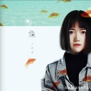​《像鱼》这首歌是送给头条所有文字创作者的礼物