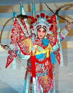 ​山东济宁惊现降龙木