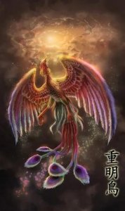 ​山海经拾壹回——重明鸟