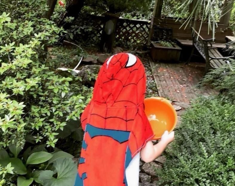 韩彩英结婚(韩彩英颜值回春超惹眼 )