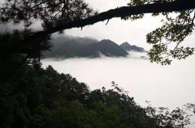 ​26岁萧珊嫁40岁巴金，后来阴阳相隔，巴金念了她33年