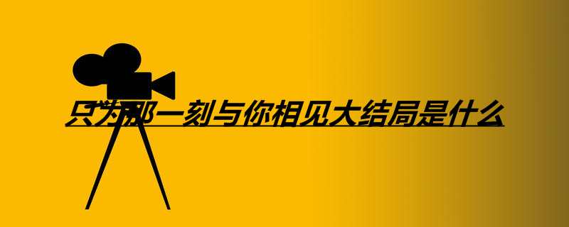 只为那一刻与你相见大结局是什么