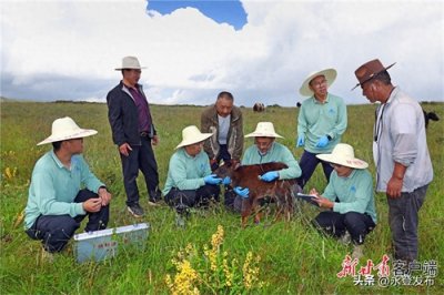 ​新甘肃︱扎根西部，新时代学子这样选择！——甘肃高校毕业生西部创业的故事与