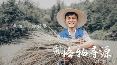 ​千里归途2｜兴国鱼丝与它的守护者们