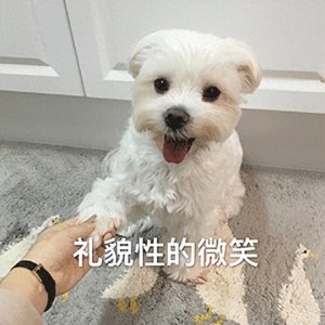 ​986 万！全球仅一辆，这定制幻影卖给了李姓中国富豪