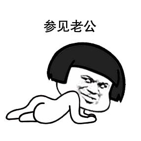 参见老公表情包动态图合集