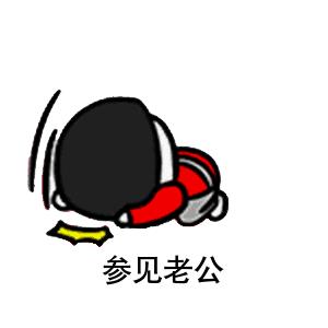 参见老公表情包动态图合集