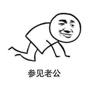 参见老公表情包动态图合集