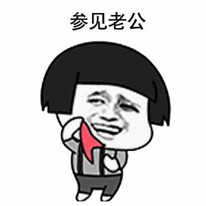 参见老公表情包动态图合集