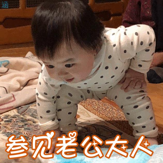 参见老公表情包动态图合集