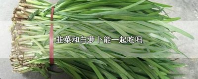 ​韭菜和白萝卜能一起吃吗