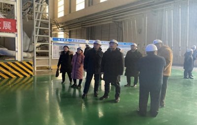 ​聚焦雄安！财政部国库司深度调研政府采购支持绿色建材政策实施