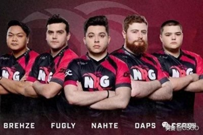 ​「CSGO」ENCE、Vitality、Fnatic、North等队名由来