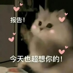 ​二更|情侣之间可以调戏的表情包，咱主打的就是与对象互怼互撩！