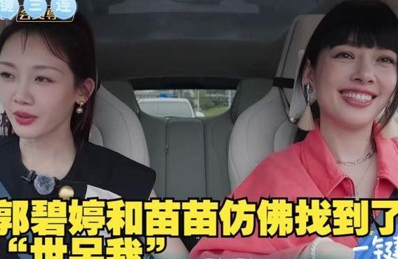 苗苗个人资料简介(郭碧婷个人资料简介)