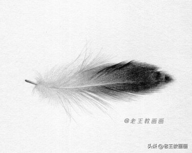 ​原来画羽毛这么简单！