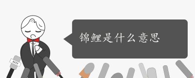 ​锦鲤是什么意思