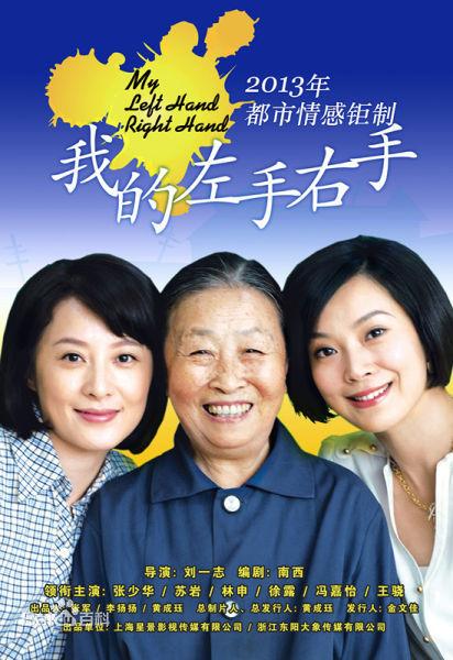 十部公认最好看的家庭电视连续剧（8部家庭题材的电视剧集锦）(6)