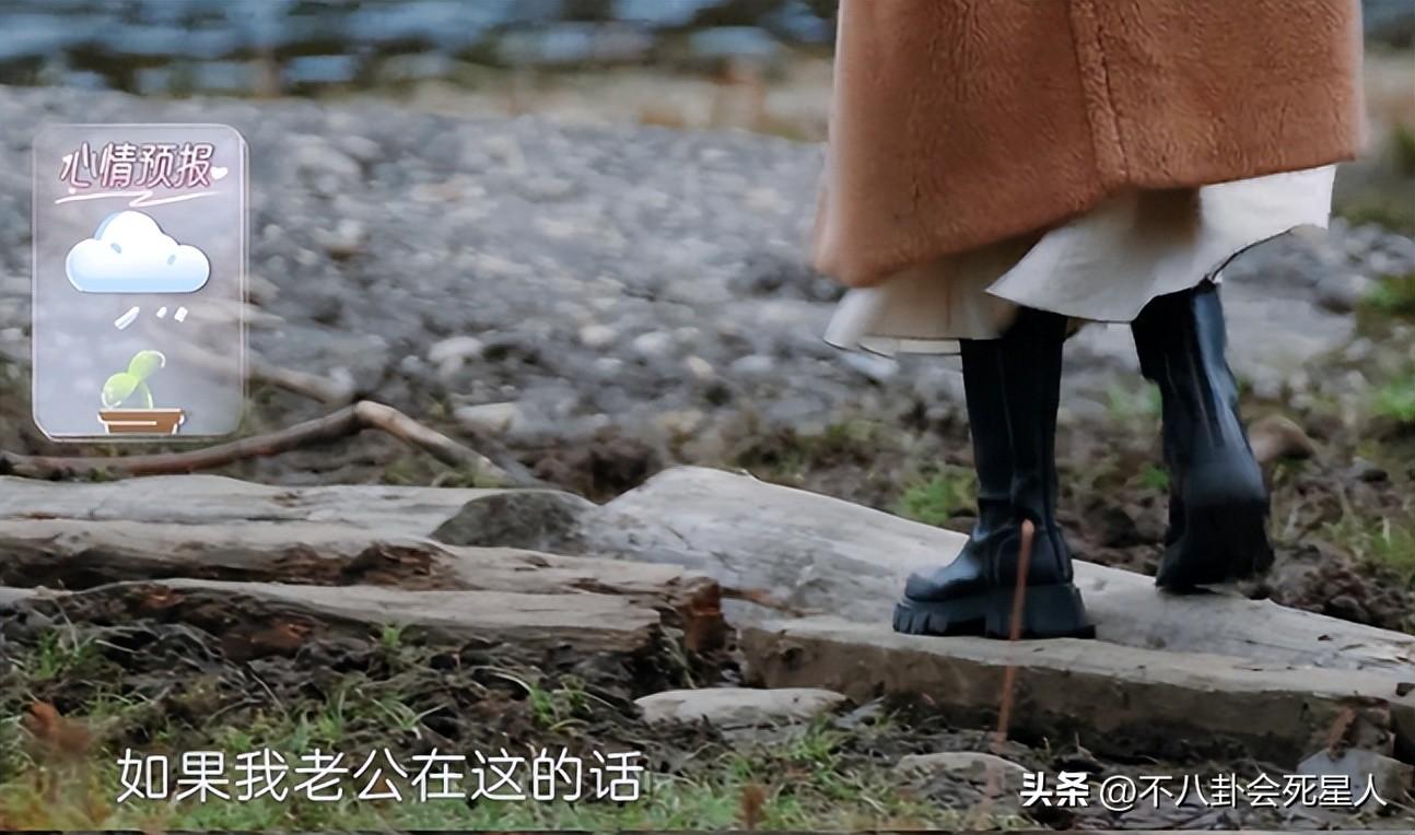 苗苗个人资料简介及家境(才第一次上综艺秀恩爱,郑恺苗苗就被全网预言要“离婚”了?)