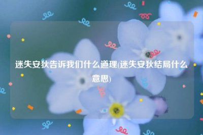 ​迷失安狄告诉我们什么道理(迷失安狄结局什么意思)