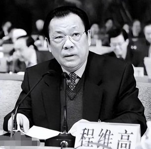 ​程维高之子“流亡”海外22年，买下65公顷小岛，重金送女儿入政坛