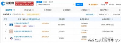 ​万达影视传媒有限公司新增被执行人信息