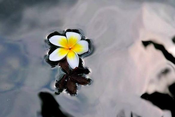 李清照最妖娆的一首诗(她被称为清代李清照)(5)