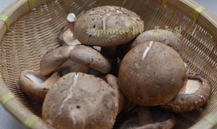 新鲜香菇在冰箱可以放几天