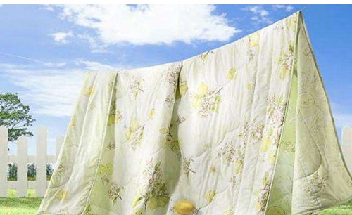 晒被子落了灰尘怎么办,晒被子有灰尘怎么办图3