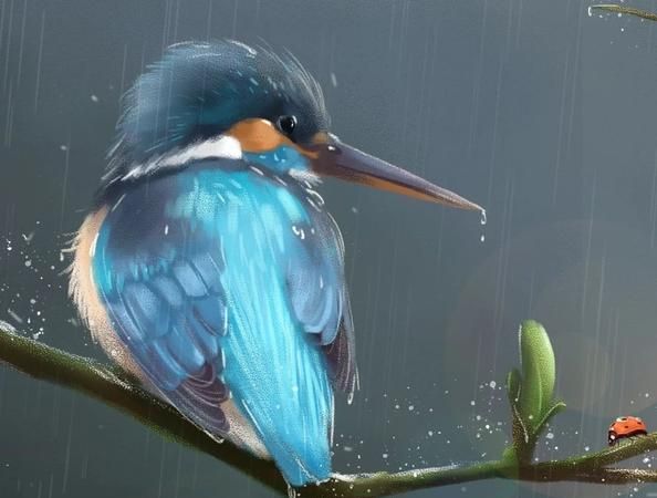 青鸟是什么鸟,青鸟是怎样的一种鸟呢