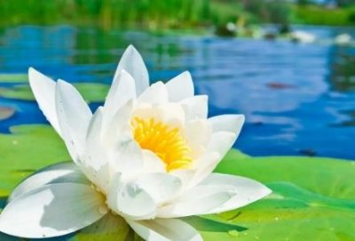 ​王志文老婆陈坚红个人简介简历 代表作品：是做什么职业的