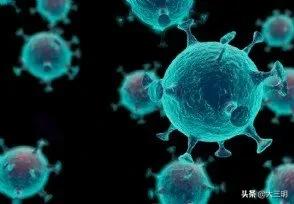 什么叫群体免疫(什么是群体免疫)(10)