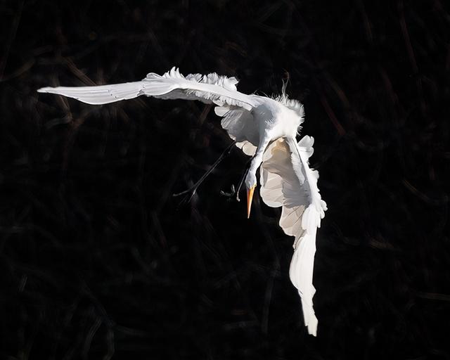 飞机失速有什么现象（飞机会因失速而坠毁）(6)