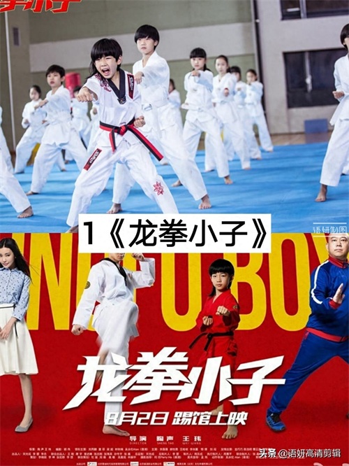 10部关于功夫小子的电影,你们看过哪几部?哪一部最好看?
